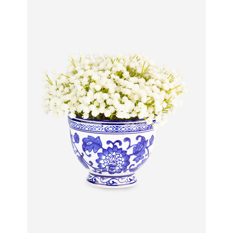 Colette Toile Baby's Breath Bowl