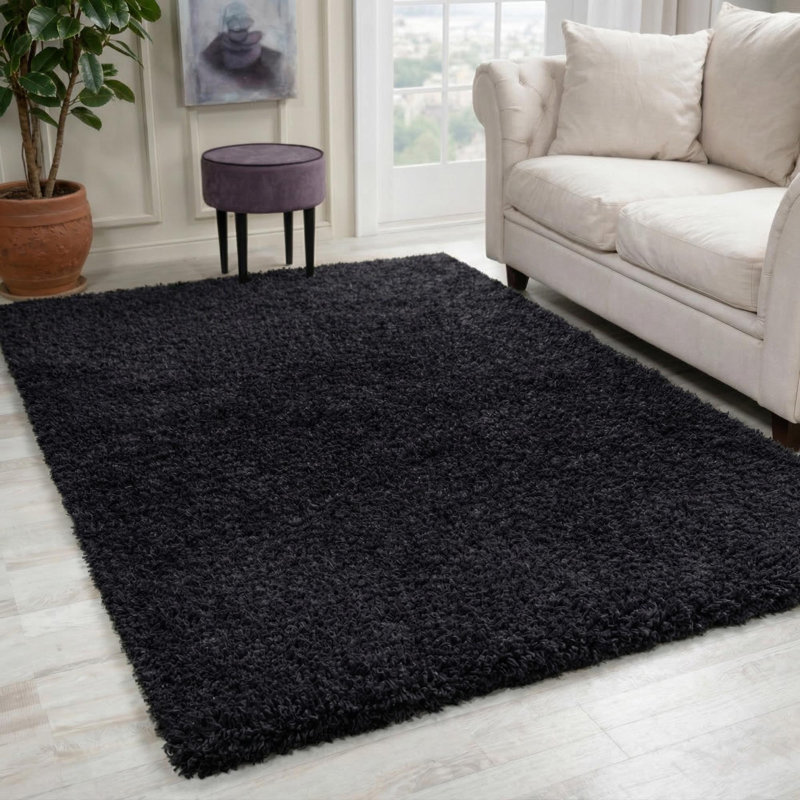 Esterly Shaggy Black Area Rug, Rectangle 120 x 170cm