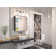 Gervon Rectangle Recessed or Surface Medicine Cabinet with Shelves and Mirror