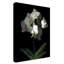 «Mini White Orchids» par Dosta, impression sur toile tendue-29227264