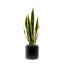 Faux Plant in Ceramic Planter