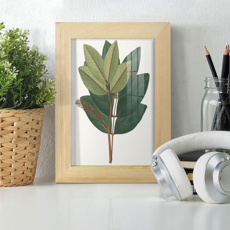 Fall Foliage IV, reproduction d'art encadrée, H 7 po x l 5 po x P 1 po, Naturel