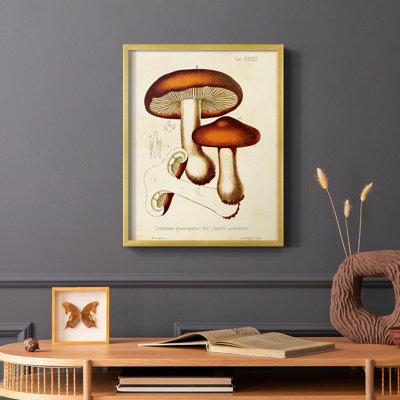 Champignon Variétés VI, reproduction encadrée - bois massif