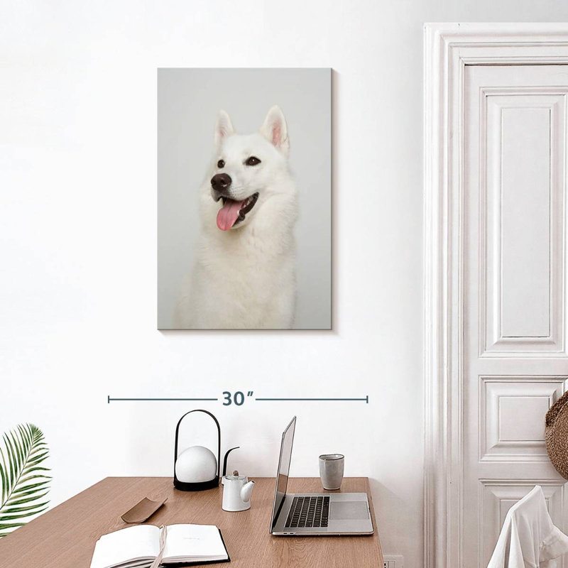 White Siberian Husky, 30" H x 20" W