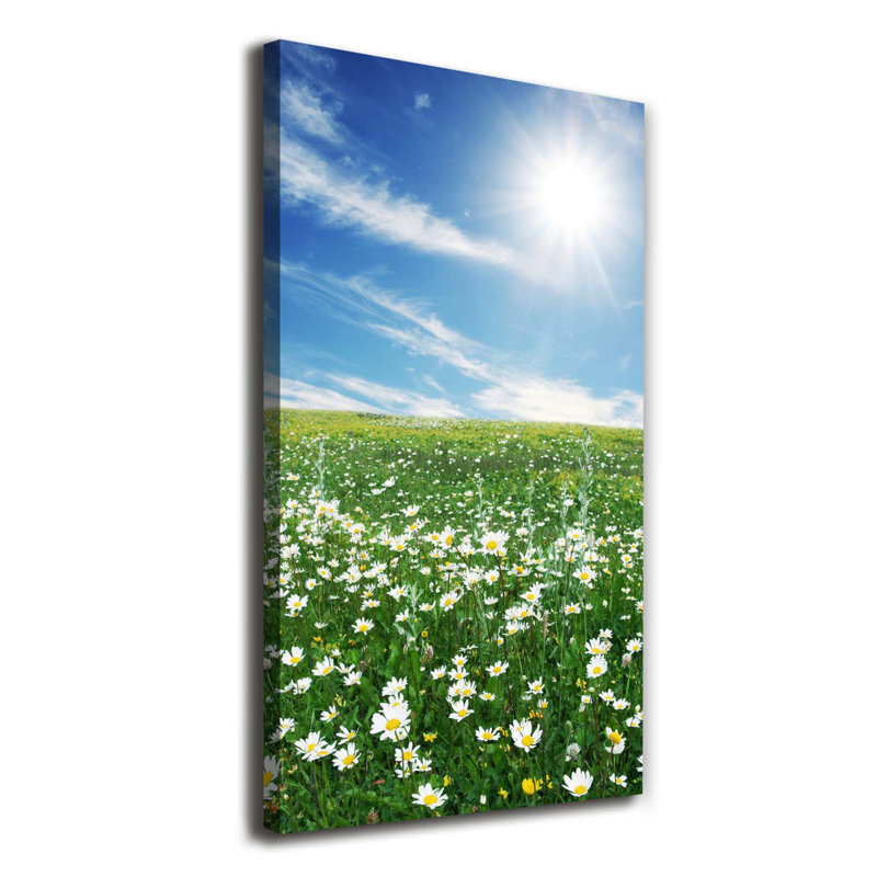 Meadow - Wrapped Canvas Print