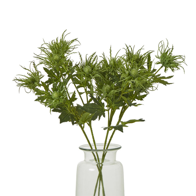 Sea Holly Spray, Green