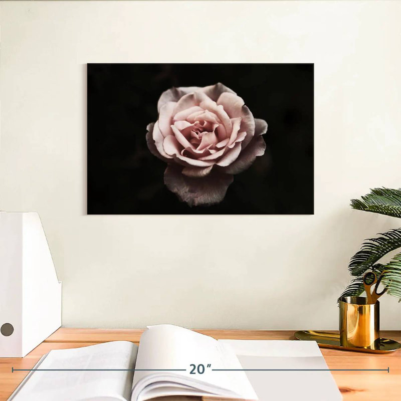 Rose œillet Harnek, H 8 po x l 12 po
