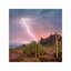 Saguaro (Carnegiea Gigantea) Cacti With Lightning Over Peak In Desert, Picacho Peak State Park, Arizona by Tim Fitzharris - Wrapped Canvas Print-219073765