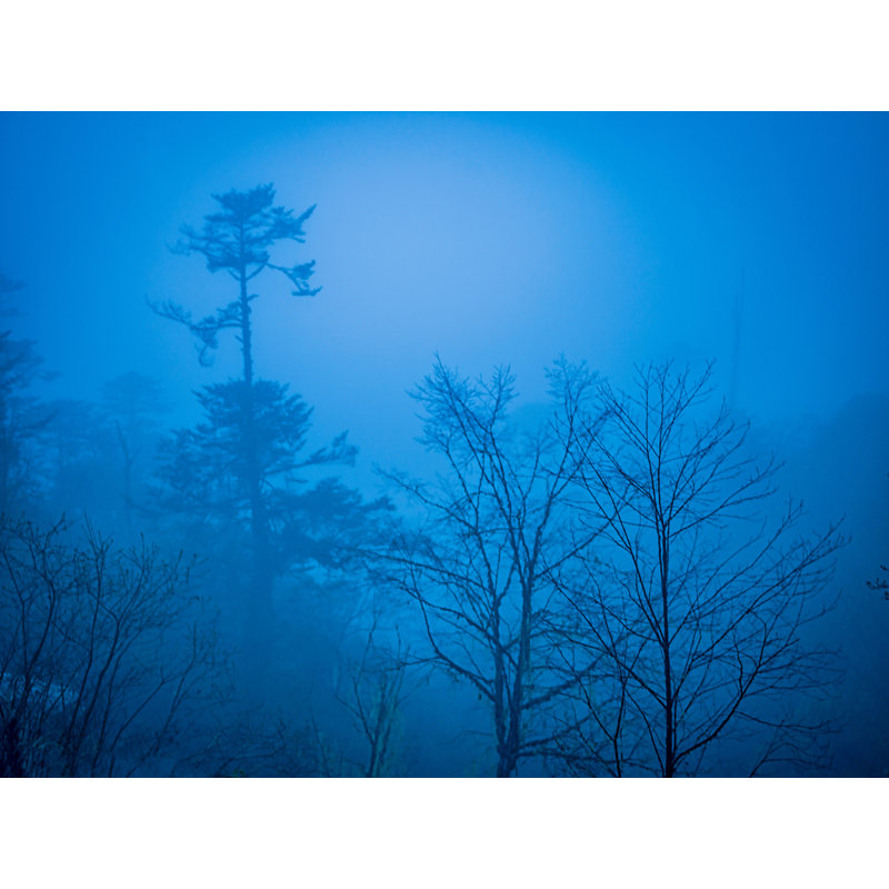 Himalaya Fog Print by Mark Paulda, Black Framed Paper, 16" H x 20" W