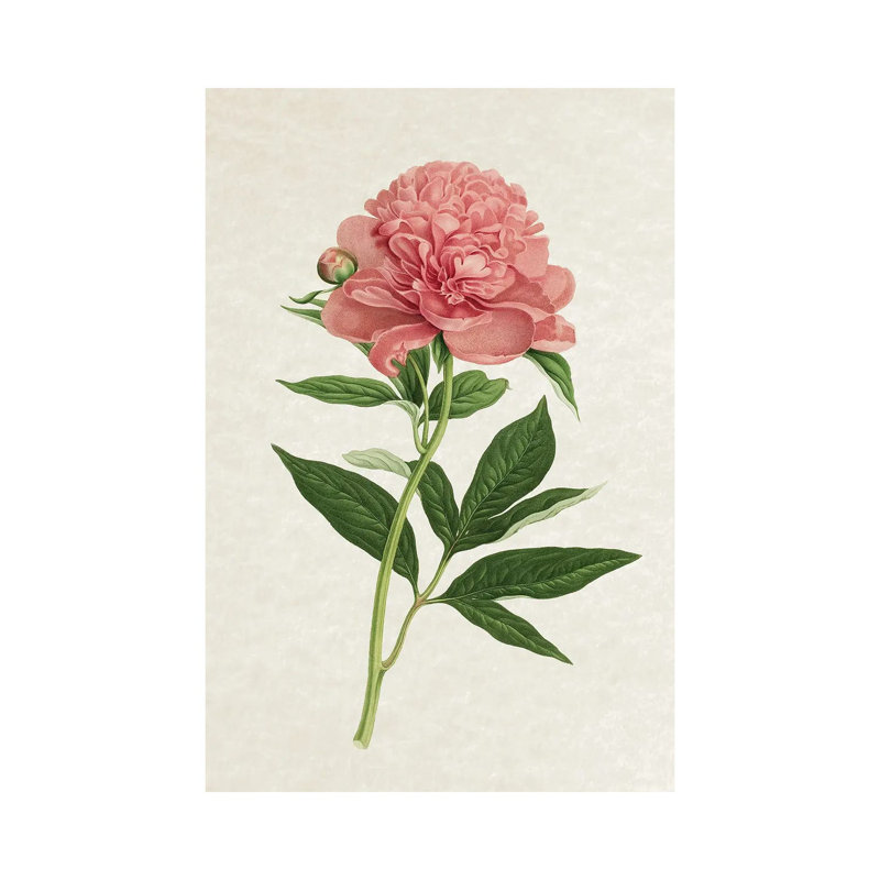 Vintage Rose by Amelie Vintage Co - No Frame Gallery-Wrapped Canvas Giclée on Canvas, 101.6cm H x 66.04cm W