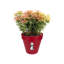 Pot Planter-37904914-37904908