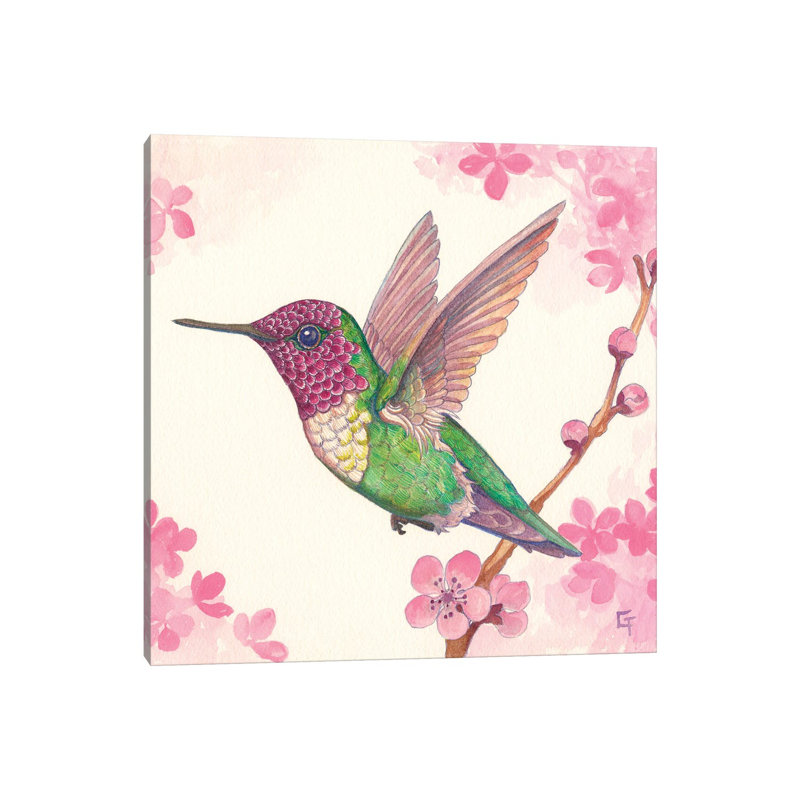 Anna's Hummingbird - Wrapped Canvas Painting, 30.48 cm H x 30.48 cm W