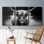 " Photography Study Highland Cattle " 3 - Pieces-827634735