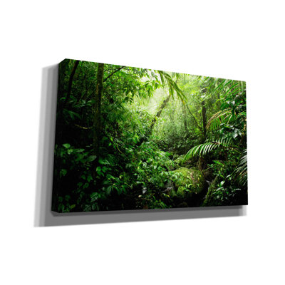 «Warm Glow Rainforest Creek» par Nicklas Gustafsson, art mural sur toile, 26 po x 18 po
