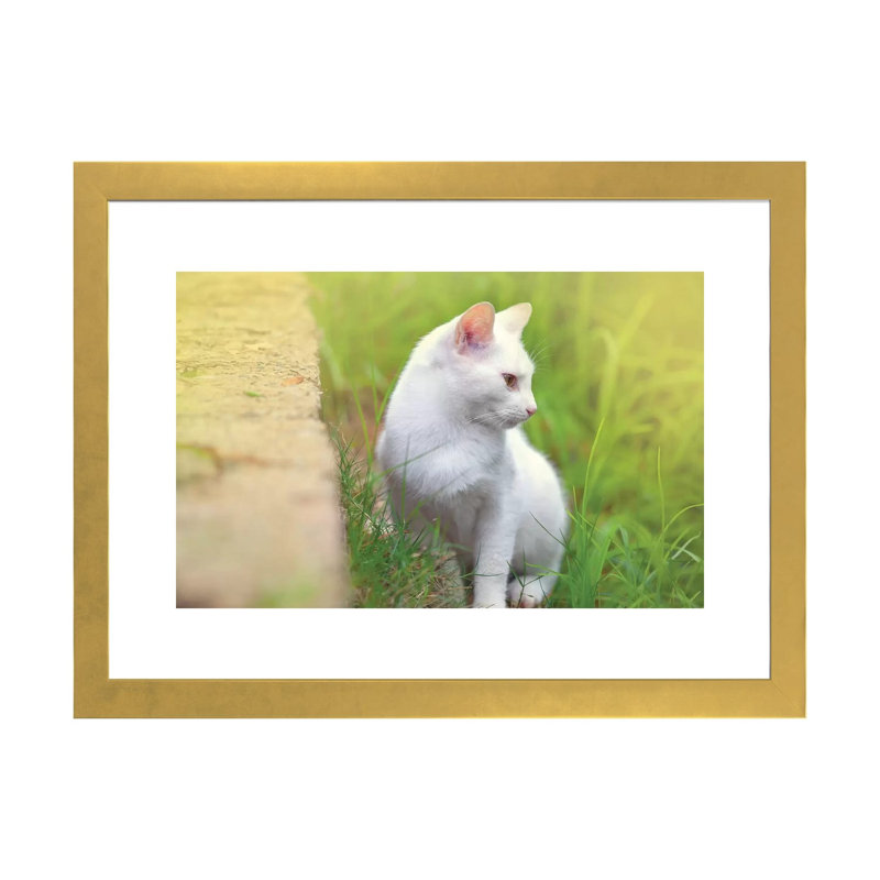« White Cat 61 » par Ben Heine-reproduction de photo, H 16 po x l 24 po x P 1 po, Papier encadré doré, Blanc