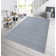 Flatweave Blue Rug