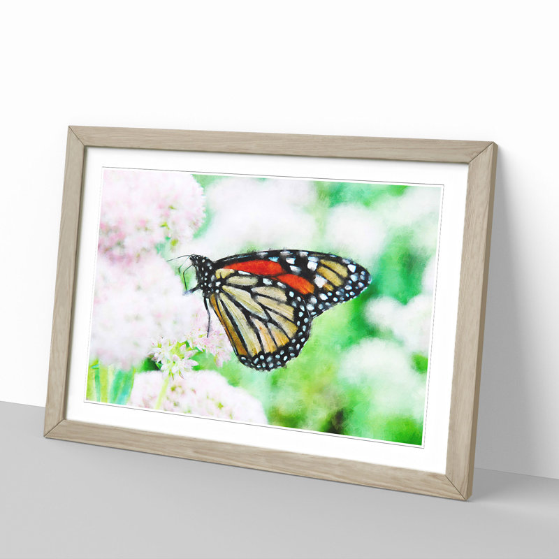 Monarch Butterfly - Picture Frame Graphic Art, 27cm H x 36cm W x 2cm D, Oak