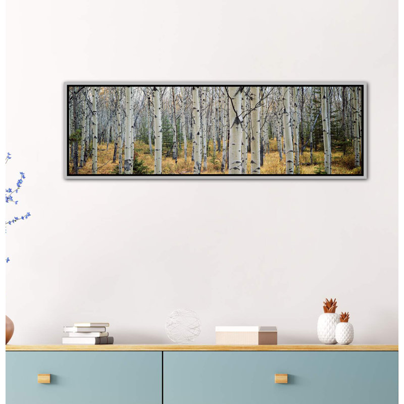 Aspen Trees in a Forest Alberta '- reproduction de photo panoramique, H 24 po x l 72 po x P 1,5 po, Toile avec cadre argenté