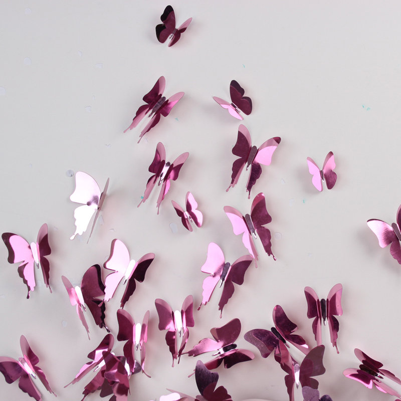 Papillons 3 dimensions