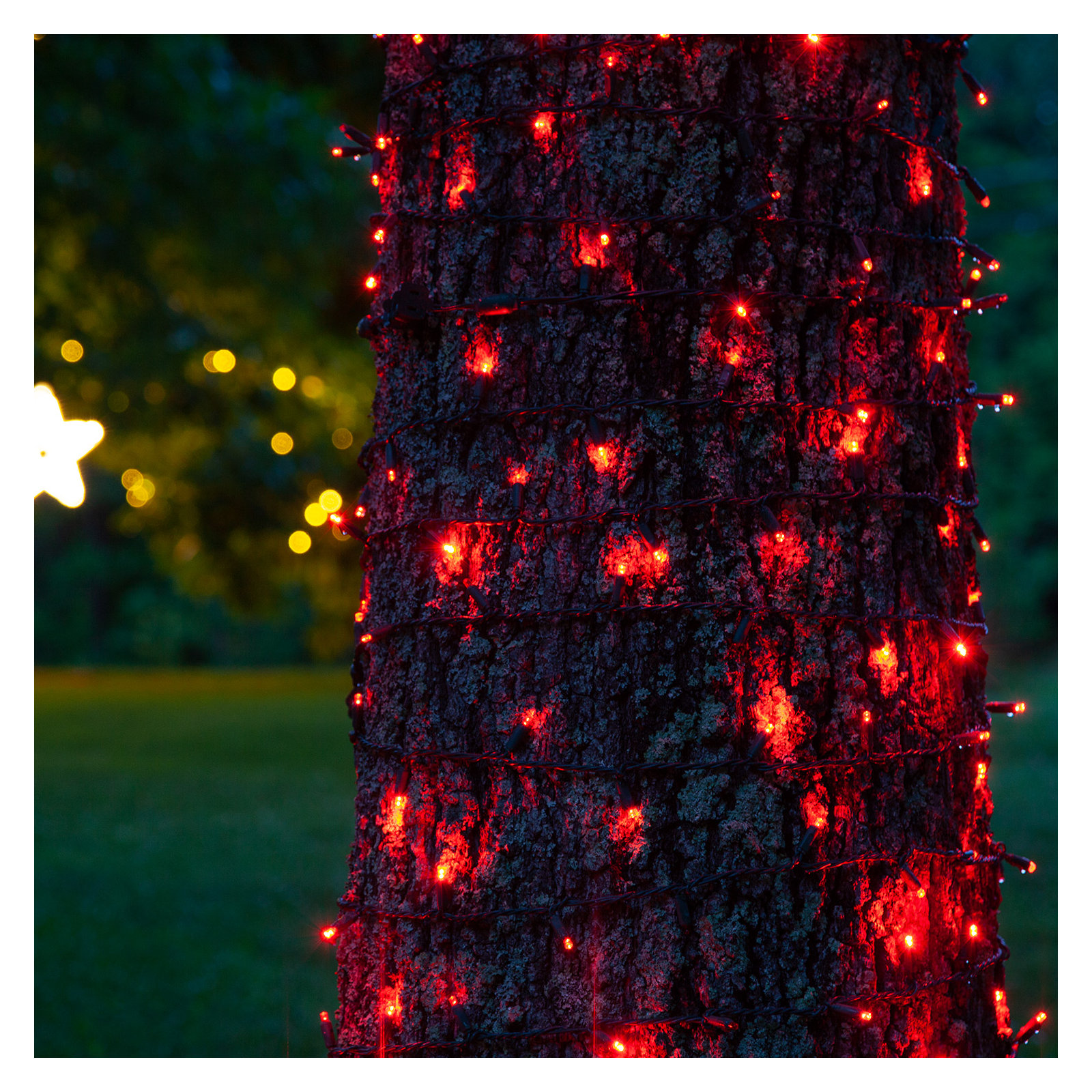 204" SoftTwinkle LED String Lights, Red
