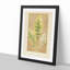 Leaf Illustration by Benjamin Fawcett - Picture Frame Painting Print-55777962-55777965