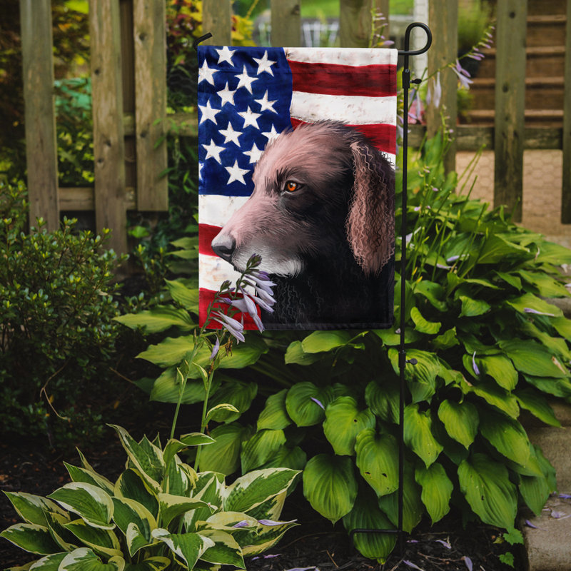 Polyester à 2 côtés 15 x 11 po drapeau de jardin, Retriever à poil frisé