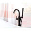 Robinet de baignoire autoportante Trinsic avec douche à main, robinet de baignoire à fixation au sol en bronze huilé, bronze vénitien (valve non incluse)-14622225