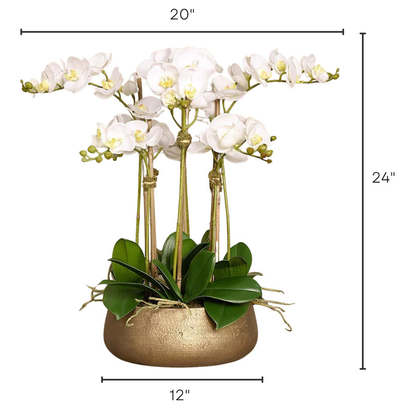 Orchid Floral Arrangement in Planter, 24" x 18", White, Gold