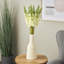 Tige de fleur artificielle Cole et Grey