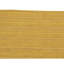 Area Rug in Yellow And Multi