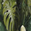 Monstera Elegance Tropical Motif I - Rideau floral - Rideau occultant floral - 1 panneau-107549706