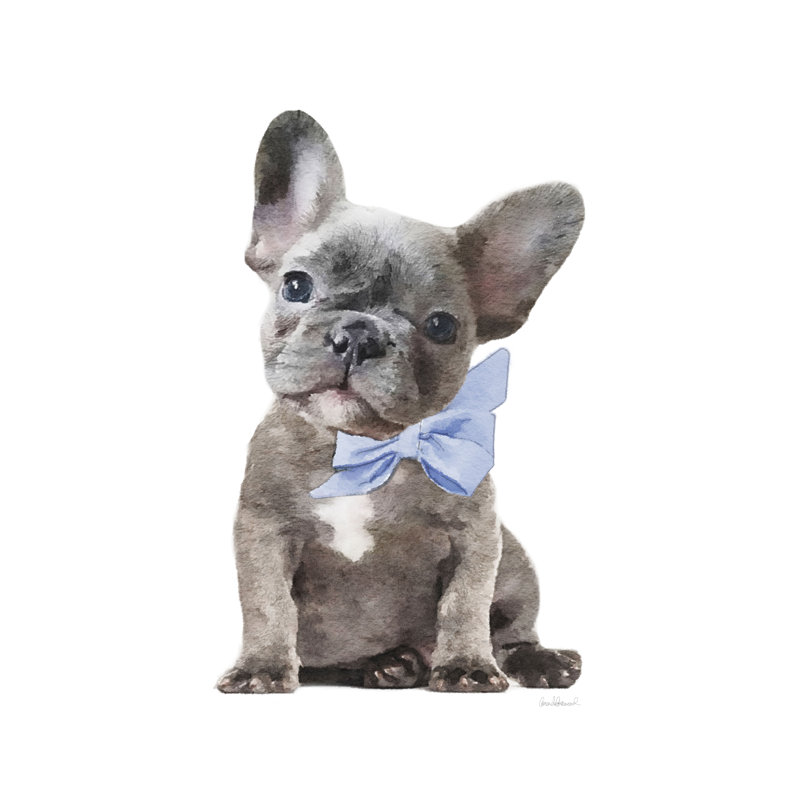 Frenchie XI by Amanda Greenwood - Wrapped Canvas Art Prints, 76cm H x 51cm W