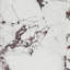 Calacatta Viola 12x24 Polished Marble Floor and Wall Tile
