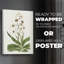 Flore Albo I - Impression sur toile seulement - NON-CADRE