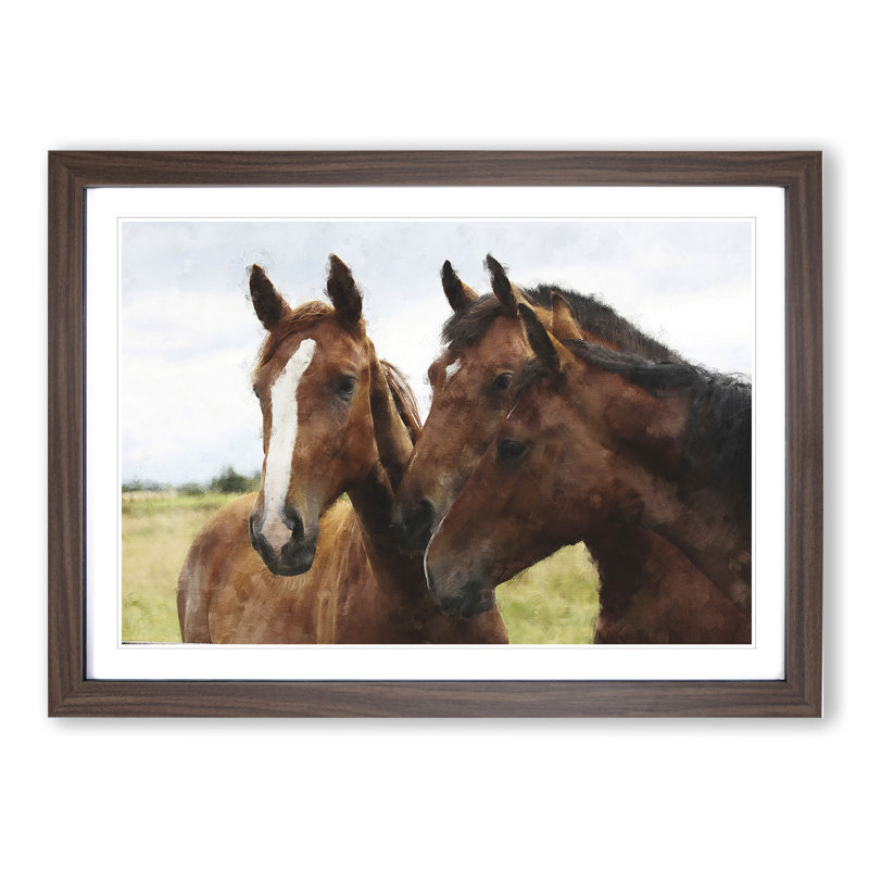 Three Horses - Picture Frame Graphic Art, Walnut, 27cm H x 36cm W x 2cm D