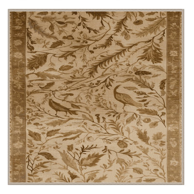 Machine Washable Nature Brown Area Rug