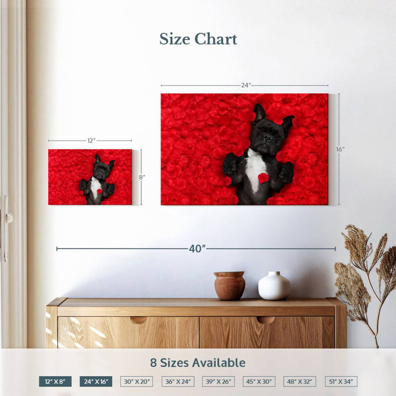 Bouledogue français Brampt Valentines