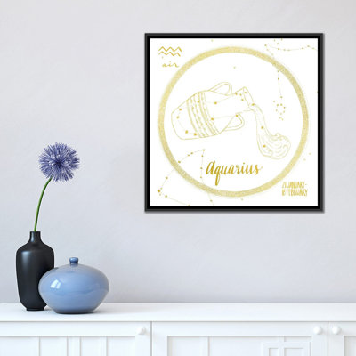 Night Sky Series: Verseau sur toile tendue