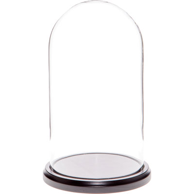 Latitude Run® Jenett Cloche Or Water Globe | Wayfair