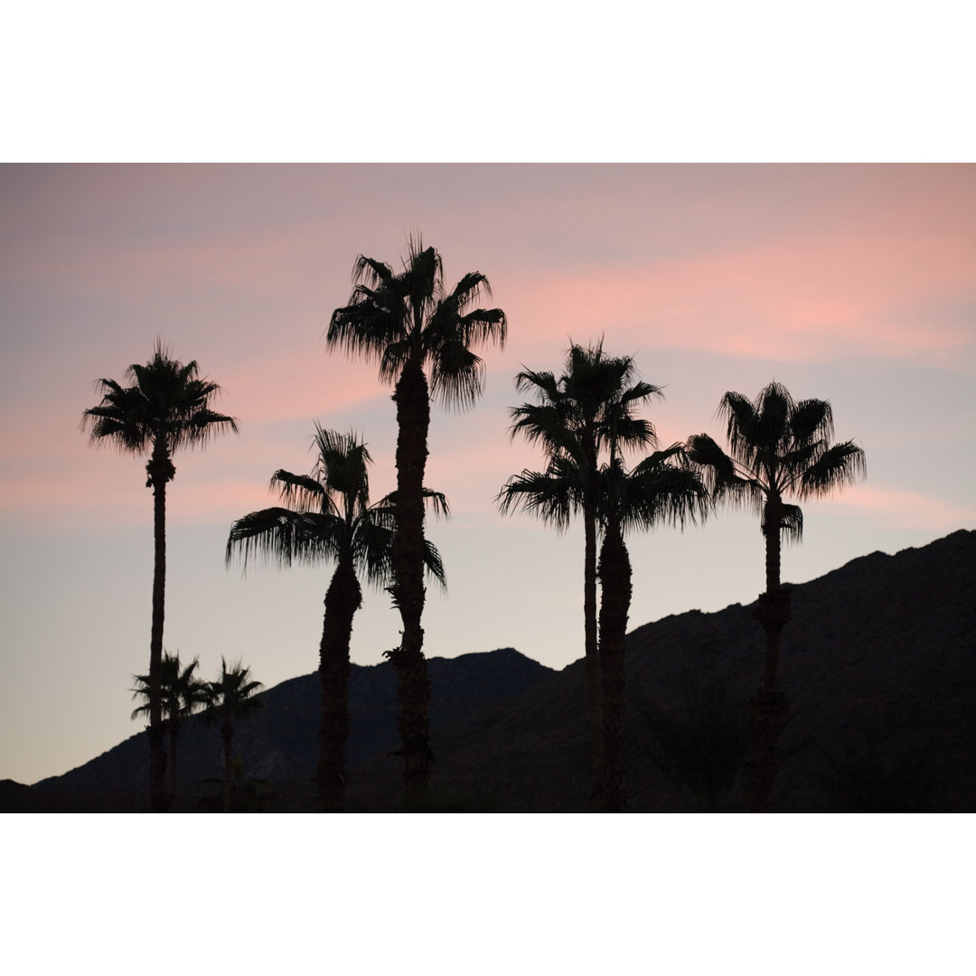 Silhouette Of Palm Trees von Monkeypics - Leinwandbild