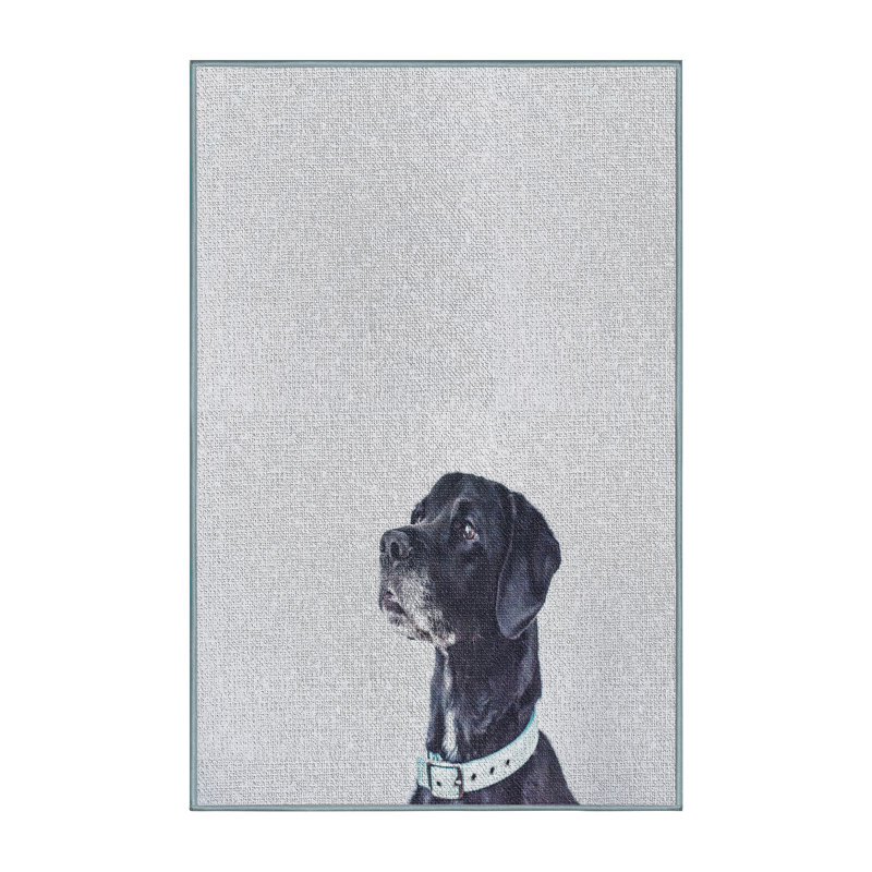 Tapis gris Dog 25, Rectangle 5 pi x 7 pi