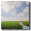 River Light-Gallery Wrapped Canvas-1372605867