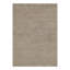 Area Rug in Tan