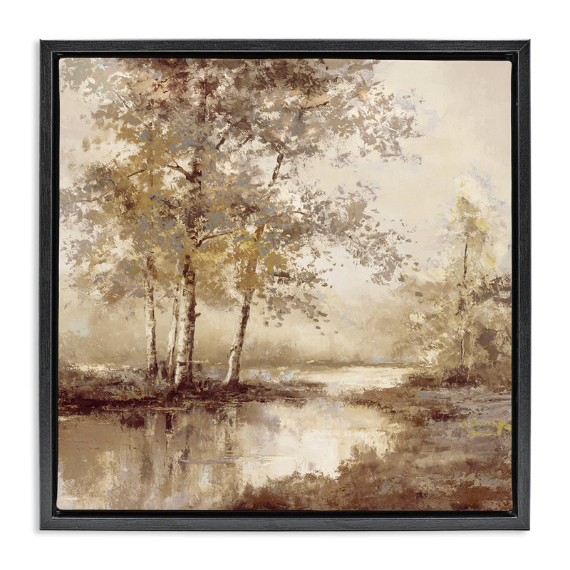 Ruisseau de forêt en sépia, Cadre flottant noir de jais, H 18 po x l 18 po