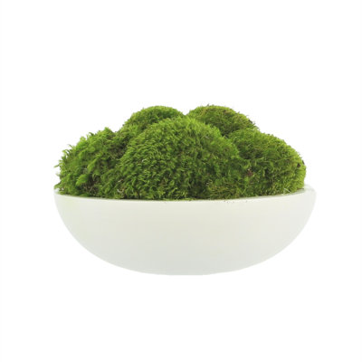 5" Artificial Moss Plant in Planter
