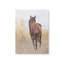 «Down in the Meadow» par Diane Fifer, reproduction d'art-1844062437-1844062432-1844062452