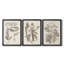 Antique sépia botanicals VI - Toile tendue avec châssis sur mesure - 3 pièces-384753323-384753325