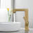 Single Hole Single Handle Bathroom Sink Faucet With Optional Drain Assembly-117317728-93564629