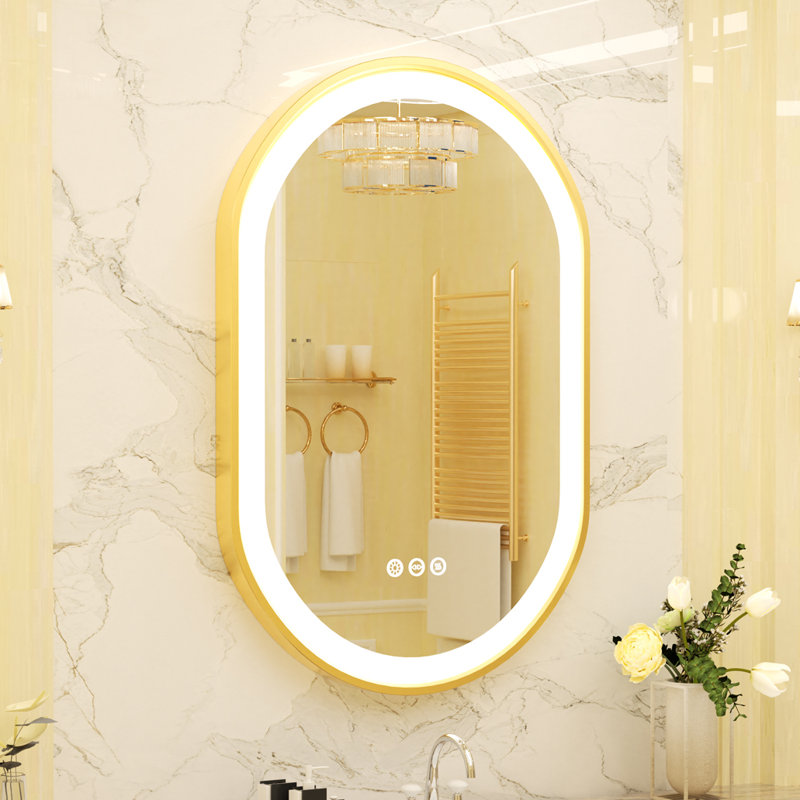 Ashlie Aluminium Oval Wall Mirror, 80cm x 50cm