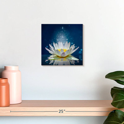 Harnek Lotus scintillant